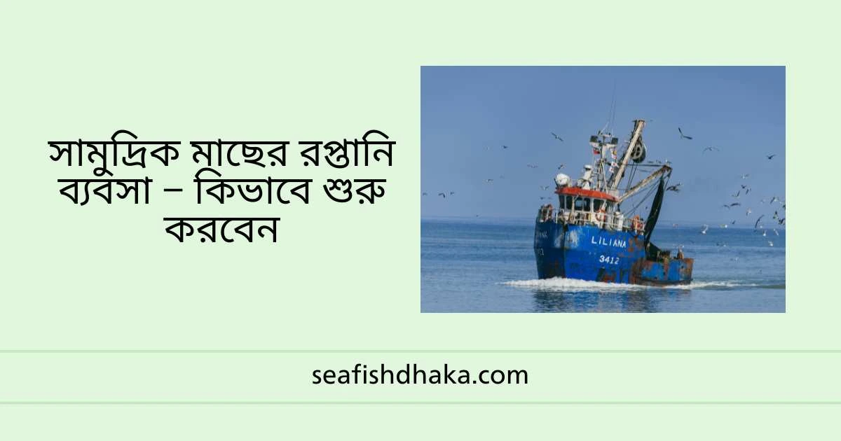 সামুদ্রিক মাছের রপ্তানি ব্যবসা – কিভাবে শুরু করবেন