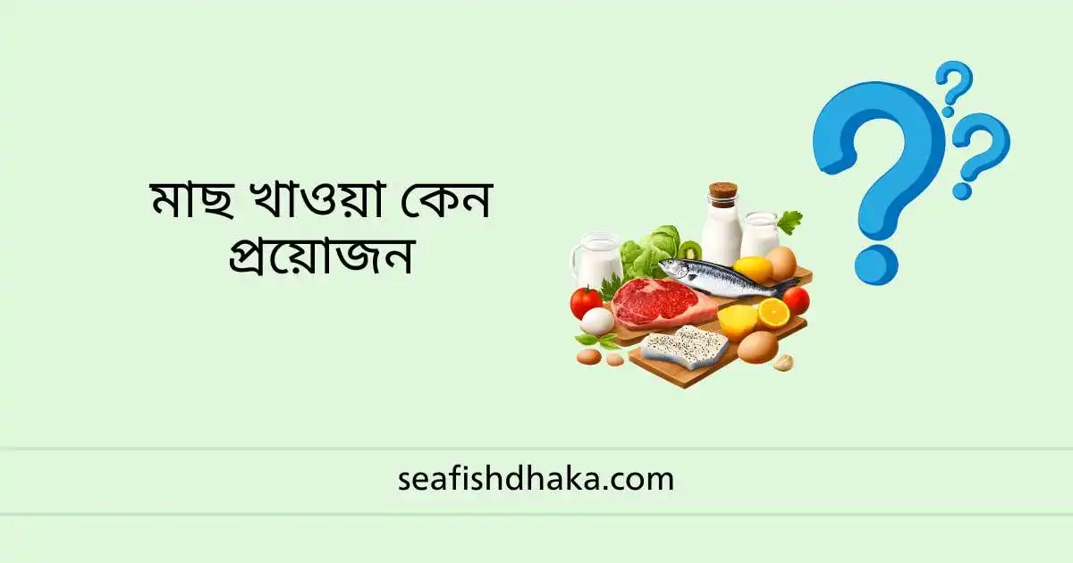 মাছ খাওয়া কেন প্রয়োজন