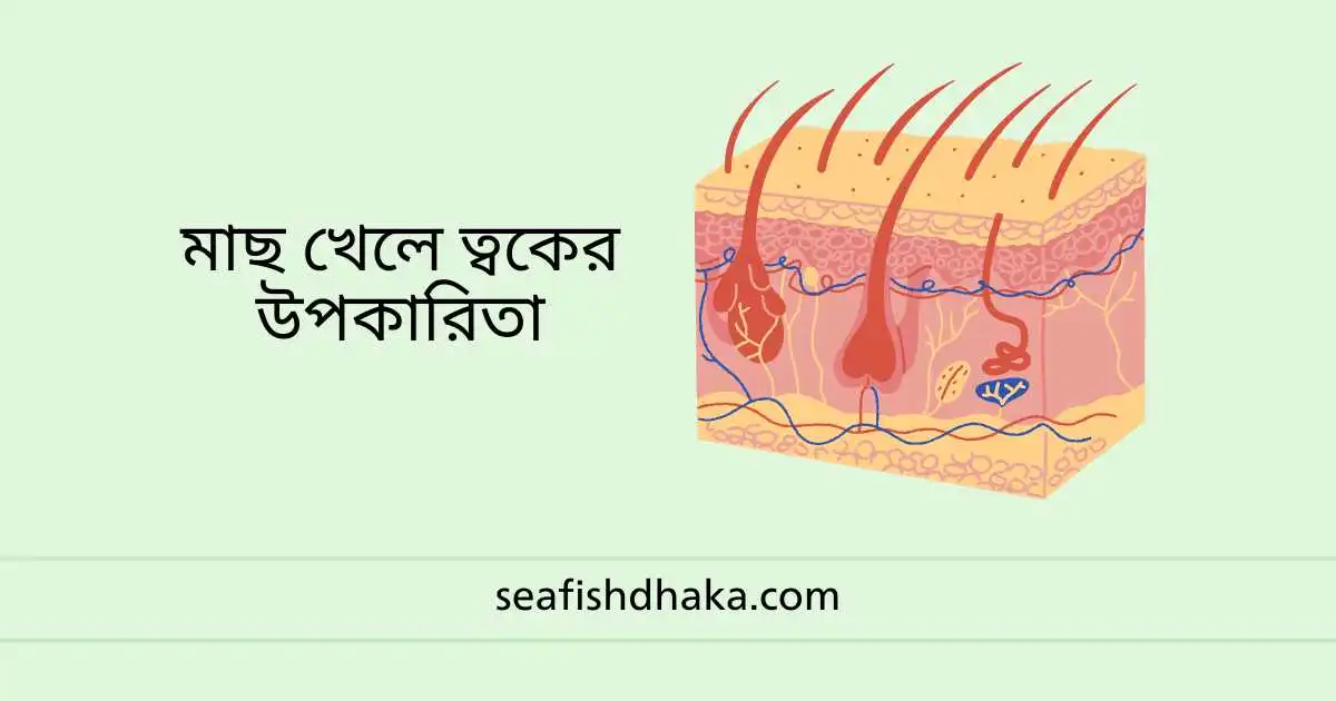 মাছ খেলে ত্বকের উপকারিতা