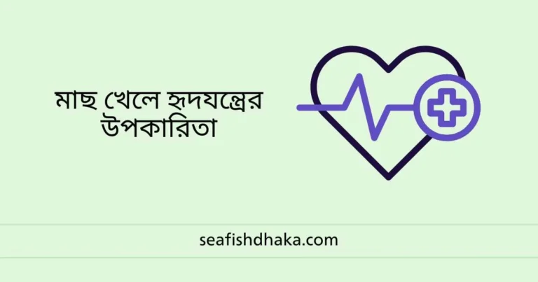 মাছ খেলে হৃদযন্ত্রের উপকারিতা
