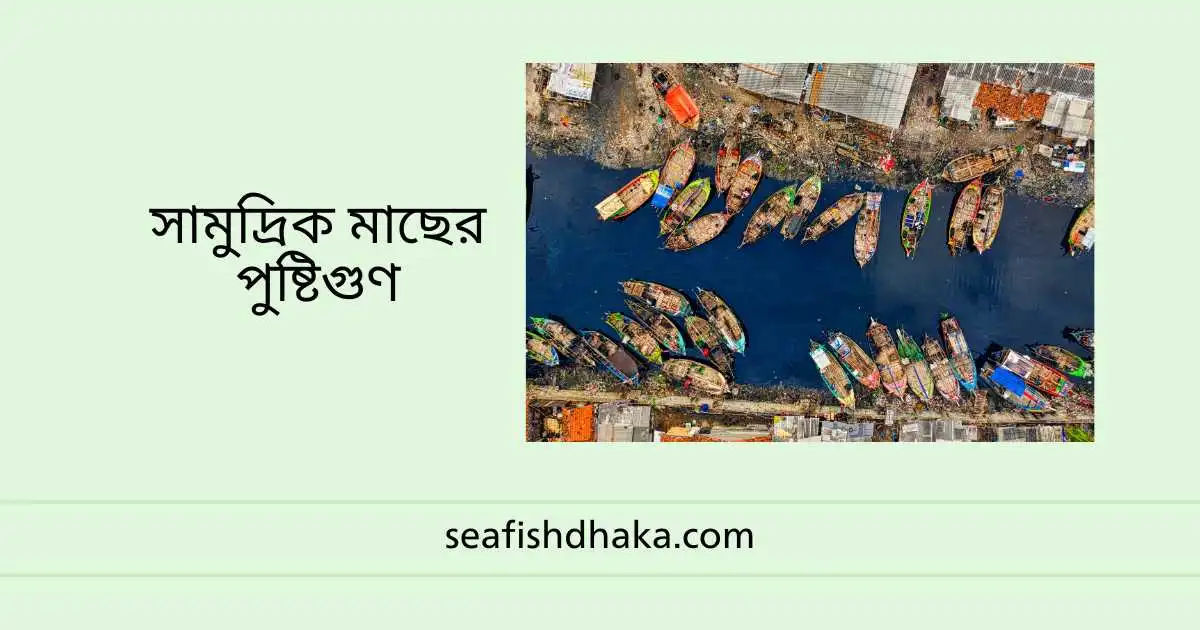 সামুদ্রিক মাছের পুষ্টিগুণ